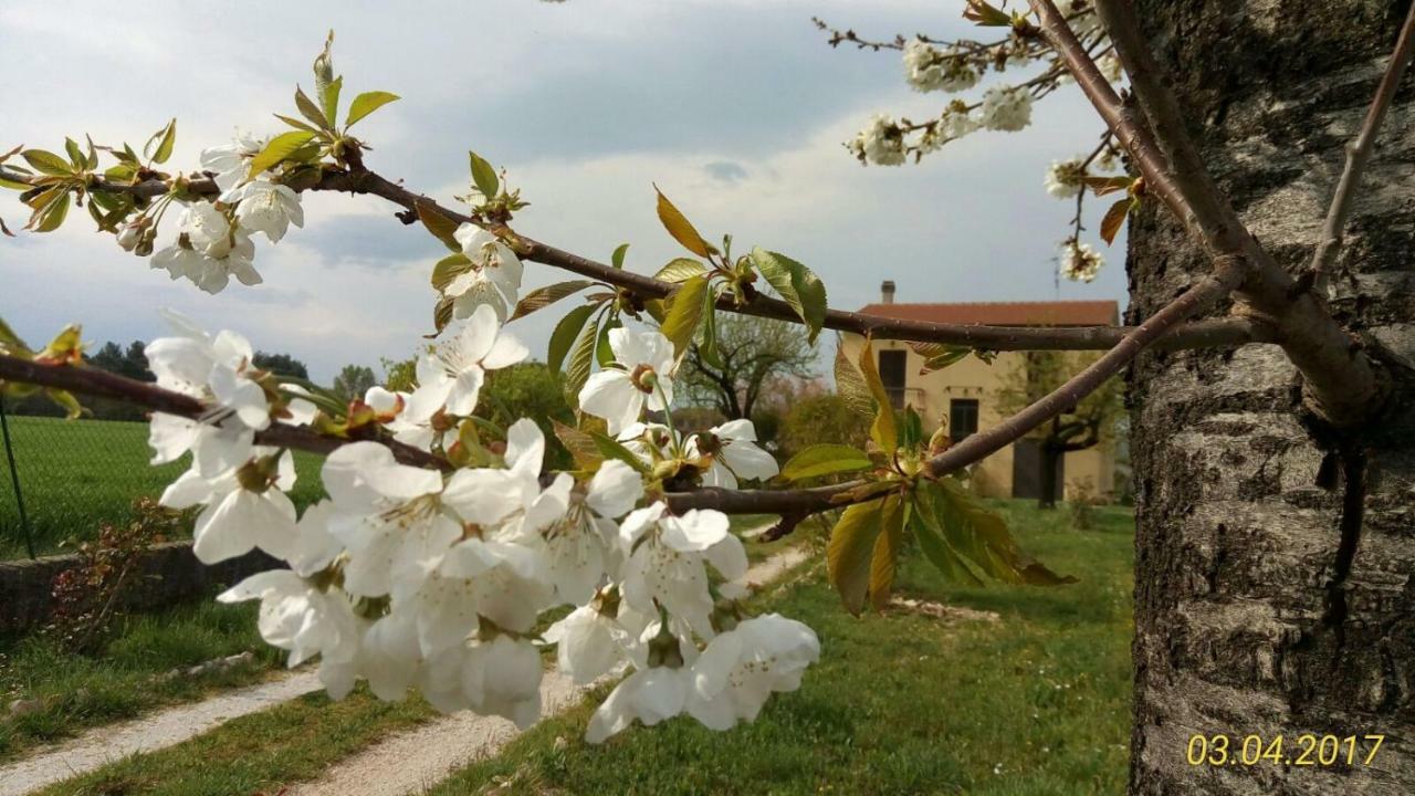 B&B Fior Fiore Spello Esterno foto